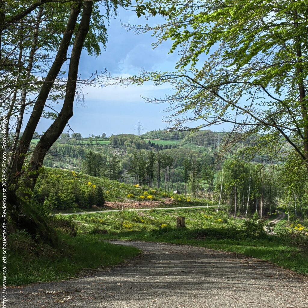 photo 2024 05 02 19 24 18