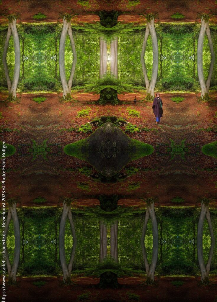 photo 2024 08 20 14 05 54